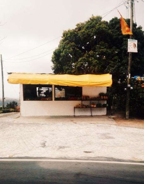 Fruit stand on the way to El Valle de Anton.
