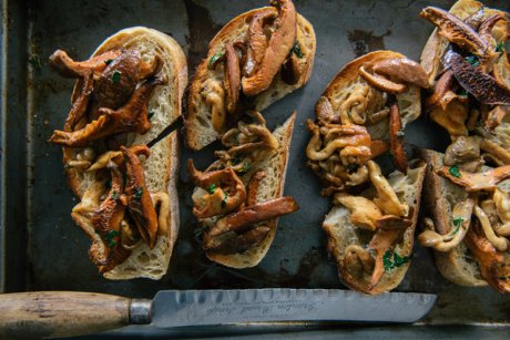 Mushrooms on toast