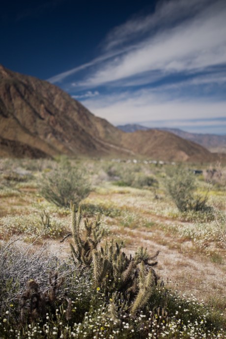 Image uploaded from iOS-11