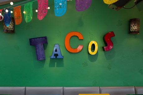 the curious passport-galaxy taco-alina mendoza photography-0667