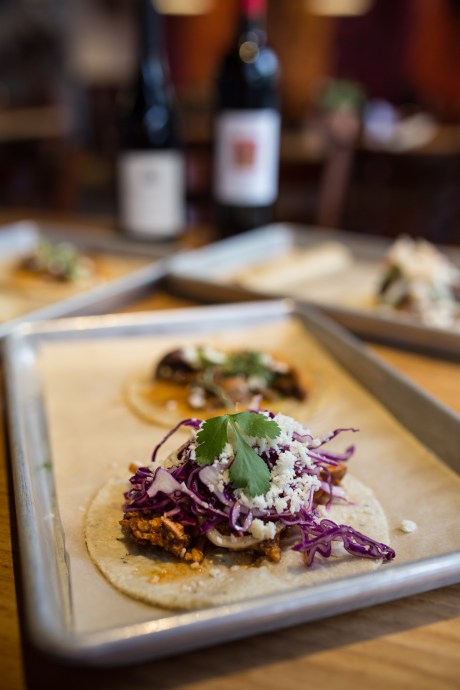 the curious passport-galaxy taco-alina mendoza photography-0689 (1)